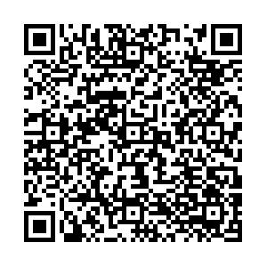 1719916219101451.jpeg 322伟德国际victor1946校本部预报名二维码.png